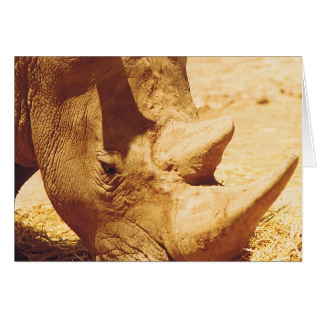 Rhinoceros Love (Voorkant Horizontaal)