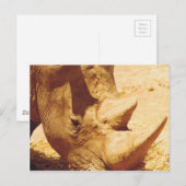 Rhinoceros Love Briefkaart (Voorkant / Achterkant)