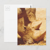Rhinoceros Love Briefkaart (Voorkant / Achterkant)