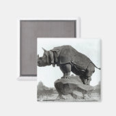 Rhinoceros Magneet (Voorkant / Achterkant)