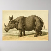  Rhinoceros Natuurgeschiedenis Afdrukken Poster (Voorkant)