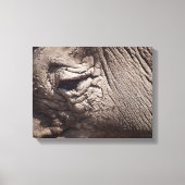 Rhinoceros oog canvas afdruk (Voorkant)