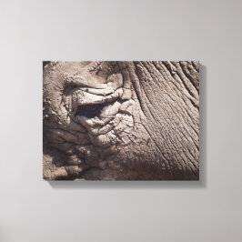 Rhinoceros oog canvas afdruk