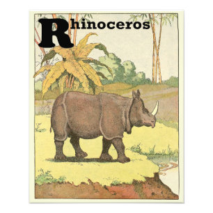 Rhinoceros op het Alfabet van de watering-Hole Foto Afdruk