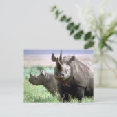 Rhinoceros op het Briefkaart Serengeti (Staand voorkant)