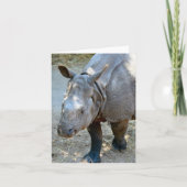 Rhinoceros Photo Folded Note Kaart (Voorkant)