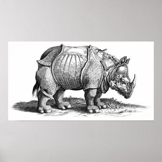 Rhinoceros Poster (Voorkant)
