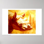 Rhinoceros Poster (Voorkant)