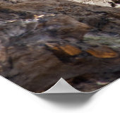 Rhinoceros Poster (Hoek)