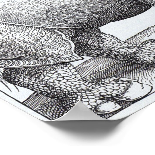 Rhinoceros Poster (Hoek)