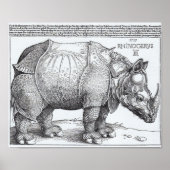 Rhinoceros Poster (Voorkant)