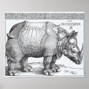Rhinoceros Poster