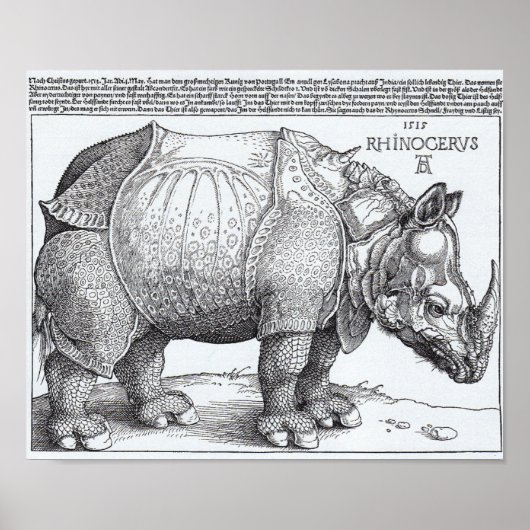 Rhinoceros Poster (Voorkant)