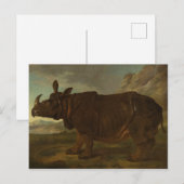Rhinoceros (Rhino) (Wilde Dier) (door J.B. Oudry) Briefkaart (Voorkant / Achterkant)