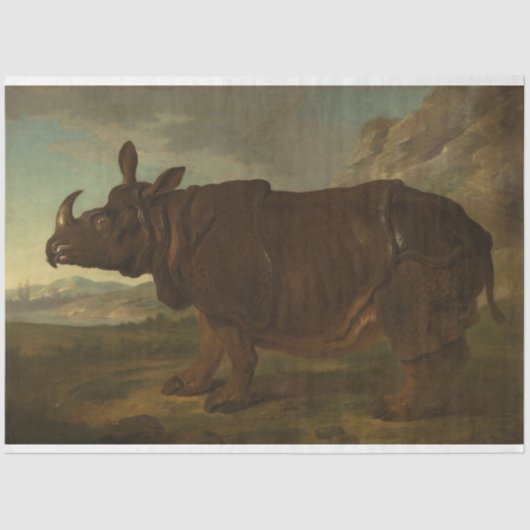 Rhinoceros (Rhino) (Wilde Dier) (door J.B. Oudry) Tissuepapier (Voorkant)