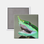 Rhinoceros Snake Magneet (Voorkant / Achterkant)