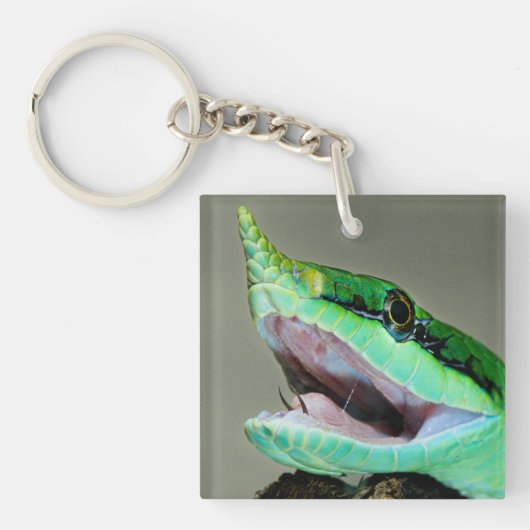 Rhinoceros Snake Sleutelhanger (Voorkant)
