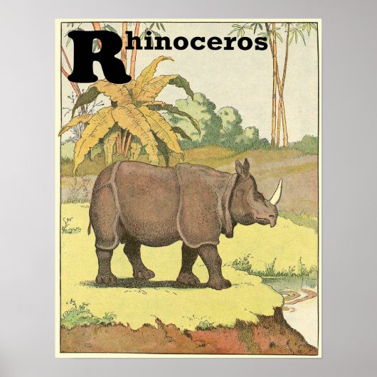 Rhinoceros Storybook Alphabet Poster (Voorkant)