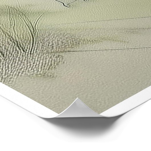 Rhinoceros Tekening - Kunstdruk Poster (Hoek)