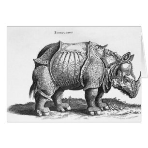 Rhinoceros uit 'Historia Animalium'