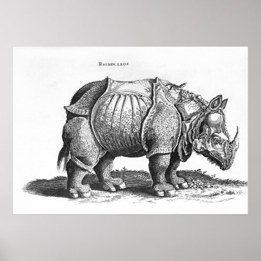 Rhinoceros uit 'Historia Animalium' Poster (Voorkant)