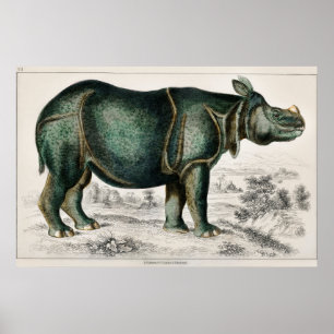 Rhinoceros van Oliver Goldsmith Poster