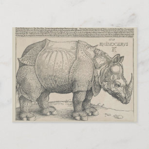 Rhinoceros Woodcut by Albrecht Durer Briefkaart