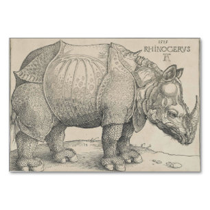 Rhinoceros Woodcut by Albrecht Durer Kaart