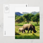 rhinofamilie briefkaart (Voorkant / Achterkant)