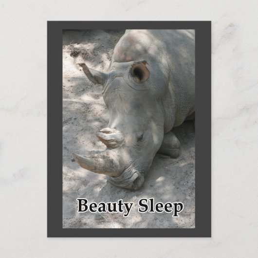 Rhinofoto met "Beauty Sleep"-tekst Briefkaart (Voorkant)