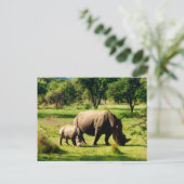 rhinograzing briefkaart (Staand voorkant)