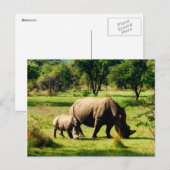 rhinograzing briefkaart (Voorkant / Achterkant)
