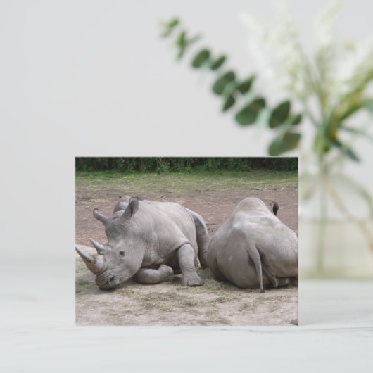 Rhinos Briefkaart (Staand voorkant)