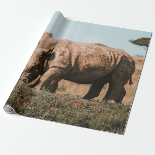 RHINO'S IN AFRIKA GRAZING CADEAUPAPIER (Uitgerold)