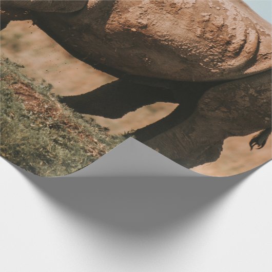 RHINO'S IN AFRIKA GRAZING CADEAUPAPIER (Hoek)