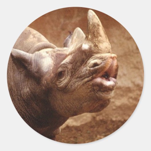 Rhinosticker Ronde Sticker (Voorkant)