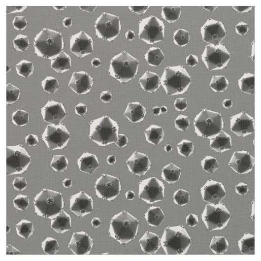 Rhinovirus grijs stof (Close Up)