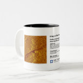 RHK IOM oktober 2012 Tweekleurige Koffiemok (Voorkant links)