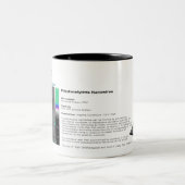 RHK-technologie - Afbeelding augustus 2007 van de  Tweekleurige Koffiemok (Center)