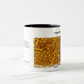 RHK-technologie - Afbeelding okt. 2008 van de maan Tweekleurige Koffiemok (Center)