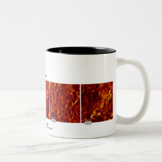 RHK-technologie - Afbeelding van de maand oktober  Tweekleurige Koffiemok