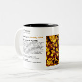 RHK-technologie - jan. 2008 Afbeelding van de maan Tweekleurige Koffiemok (Voorkant links)