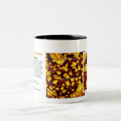 RHK-technologie - jan. 2008 Afbeelding van de maan Tweekleurige Koffiemok (Center)