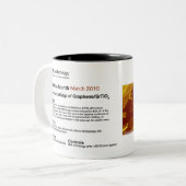 RHK-technologie - Mok IOM-koffie van maart 2010 (Voorkant links)