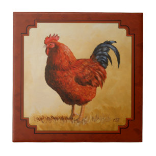 Rhode Island Chicken Red Background Tegeltje
