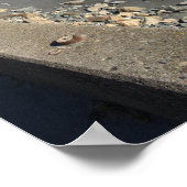 Rhode Island Cliff Walk Poster (Hoek)