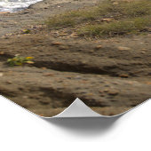 Rhode Island Cliffside Waterscape Poster (Hoek)