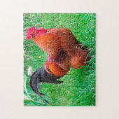 Rhode Island Haantje. Legpuzzel (Verticaal)