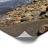 Rhode Island Klif Zijwaterschapsposter Poster (Hoek)