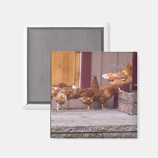 Rhode Island Magnet (Voorkant / Achterkant)